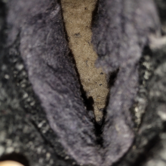 Bearpaw Marie Water Resistant Boots Gray - Picture 2 of 7